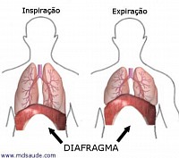 www.mdsaude.com